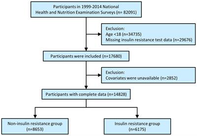 Associations of total protein, albumin, and globulin with insulin resistance: an NHANES study